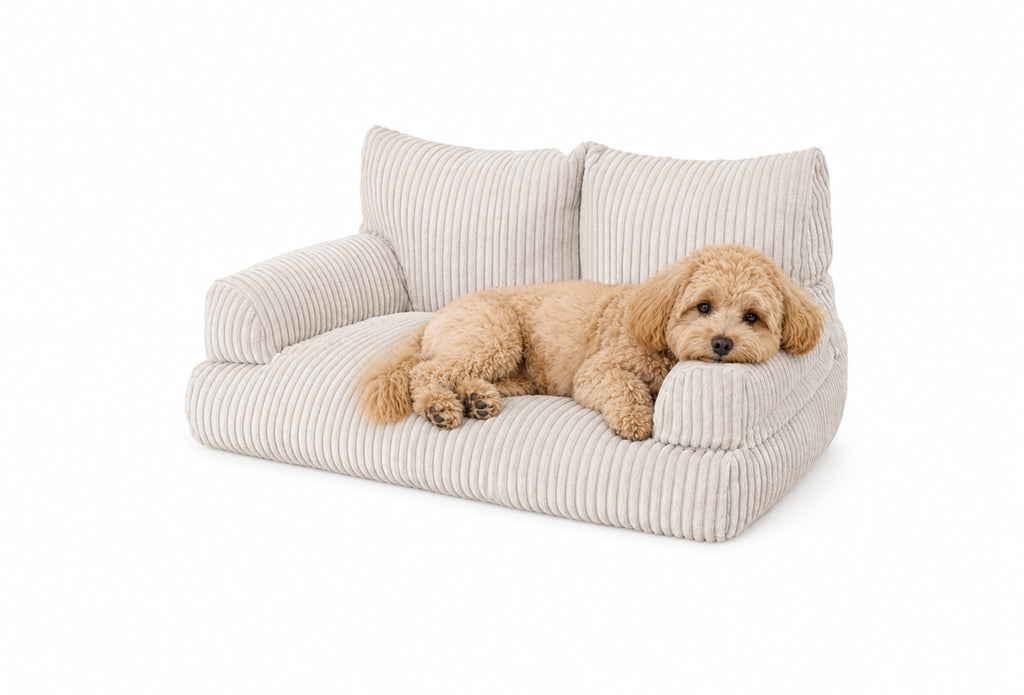 Shappy Pet Sofa - Mini Sofa for Cats and Small Dogs - SHAPPY