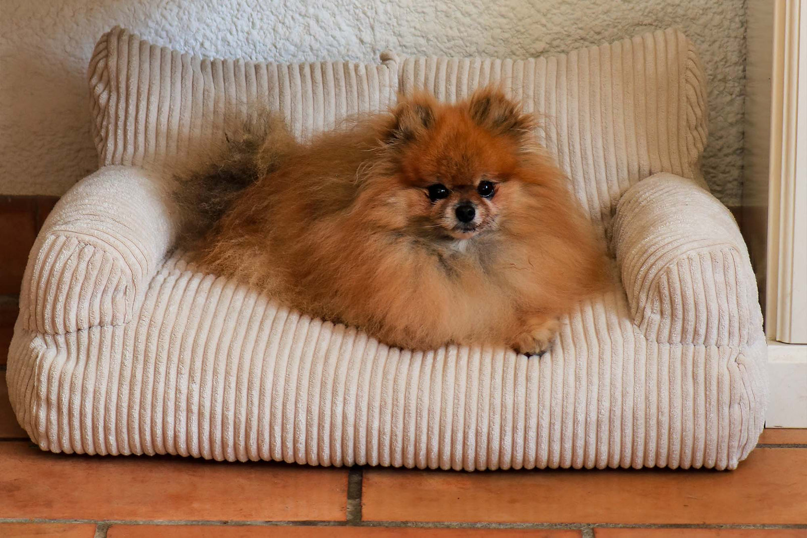 Pet Sofa Corduroy Vanilla