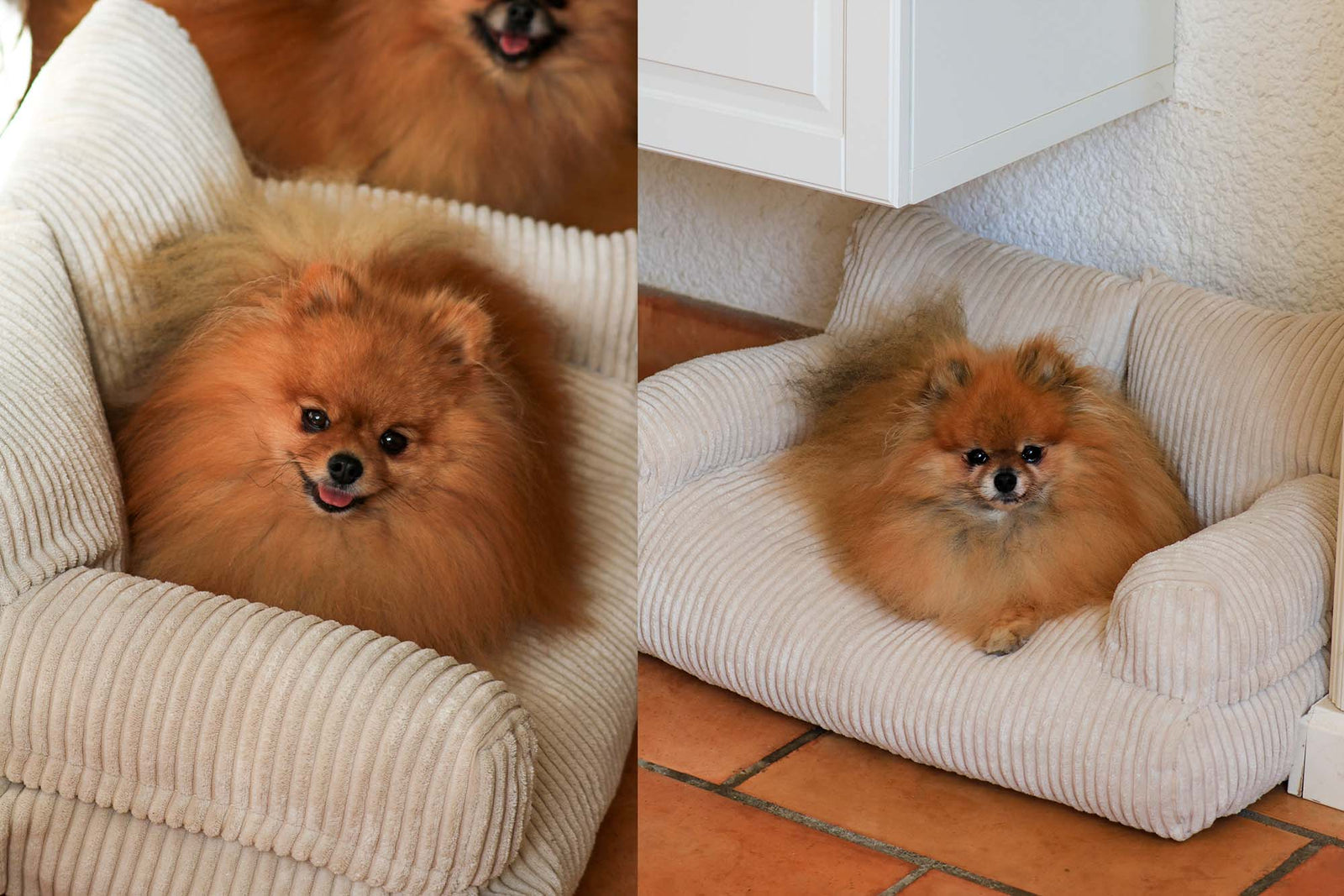 Pet Sofa Corduroy Vanilla