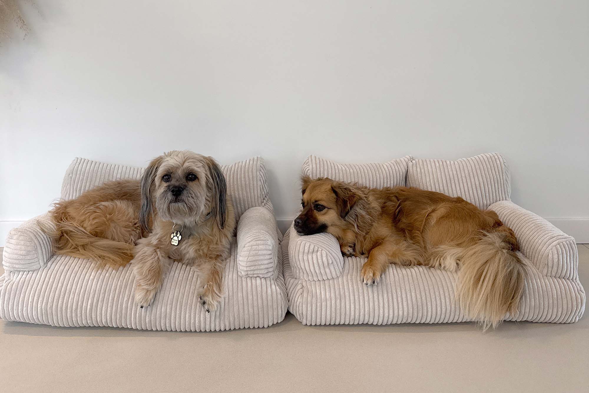 Pet Sofa Corduroy Vanilla