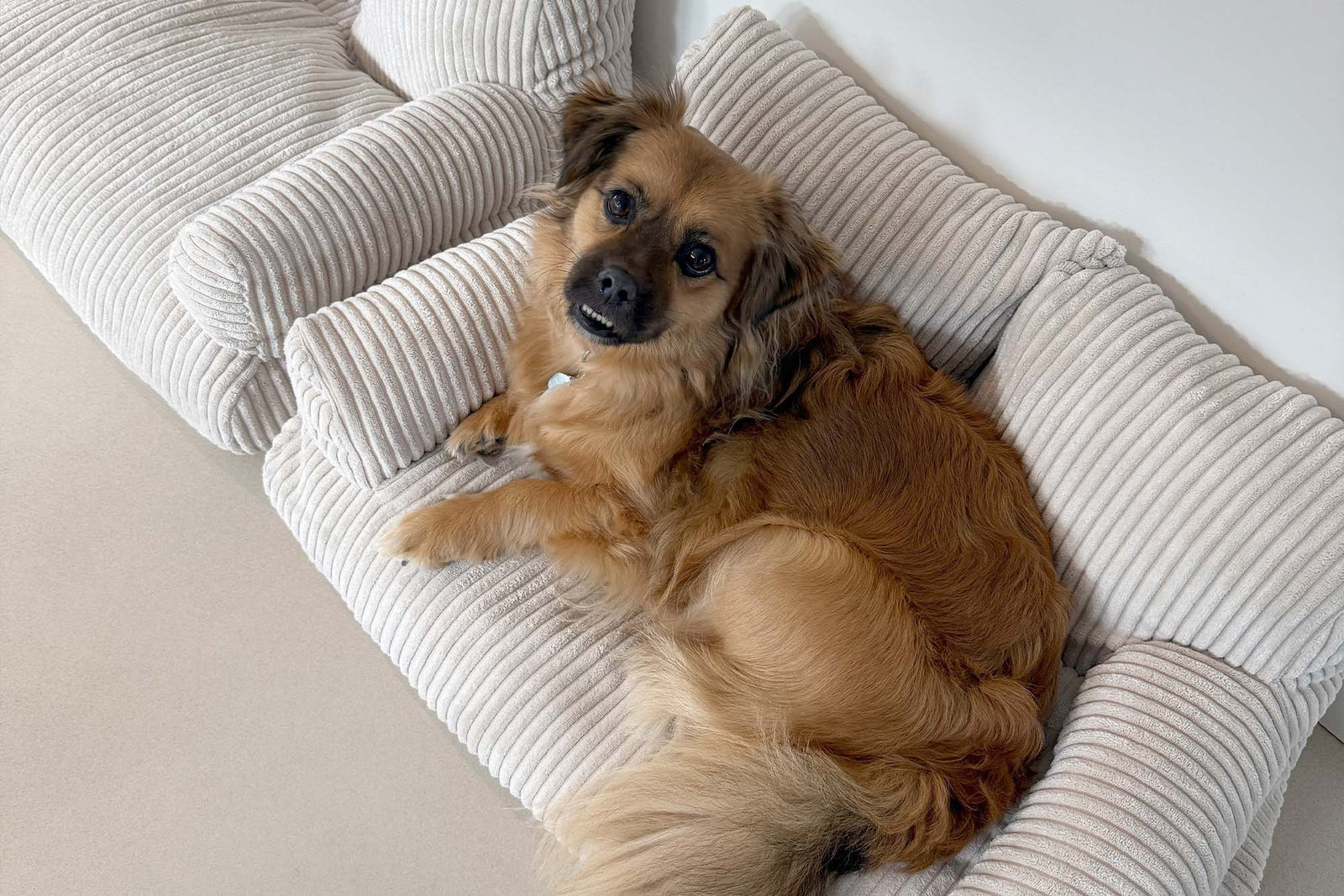 Pet Sofa Corduroy Vanilla