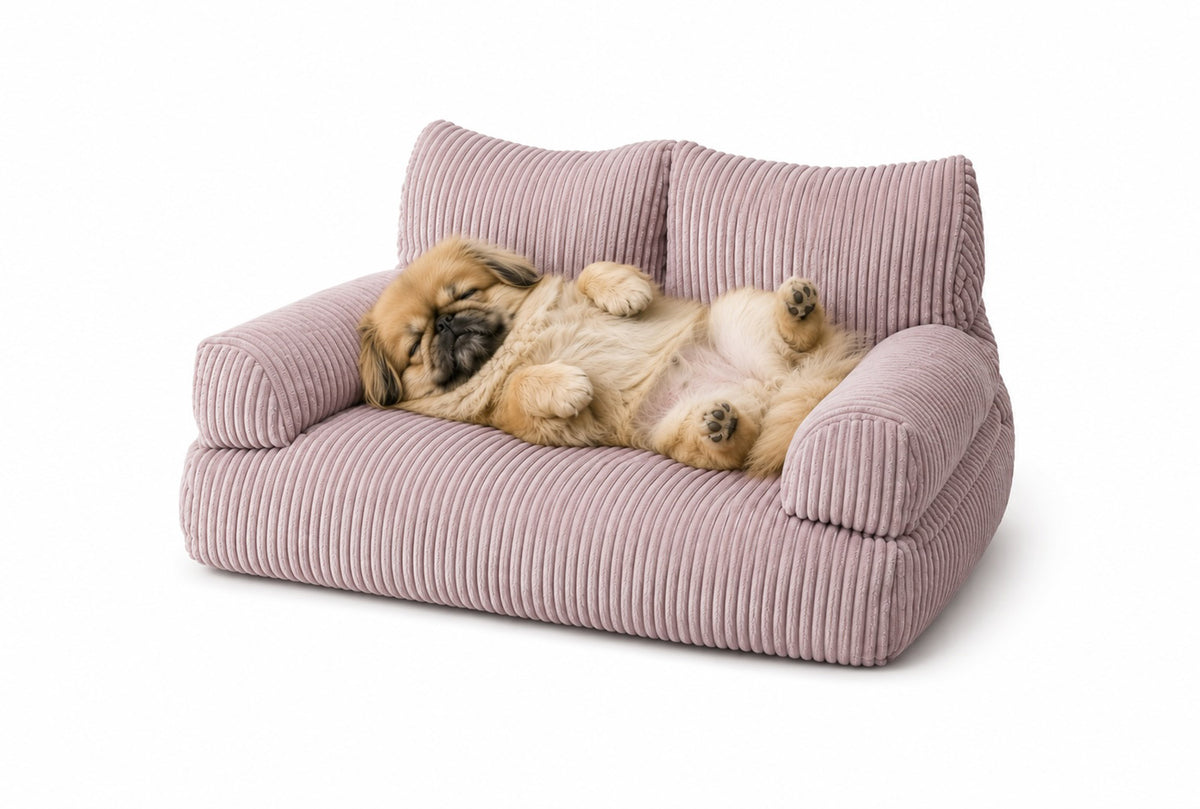 Pet Sofa Corduroy Candy