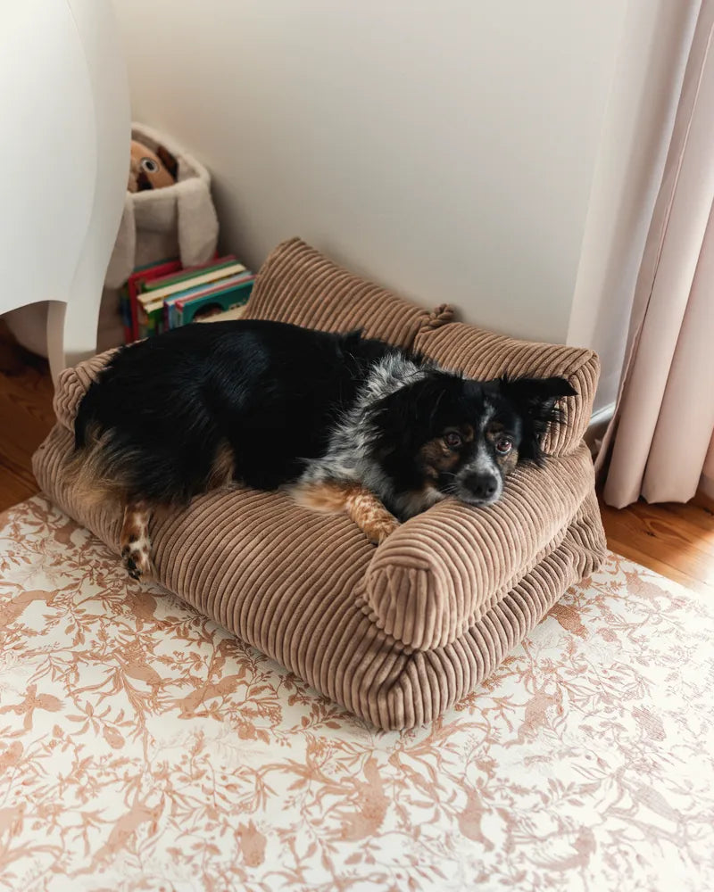Pet Sofa Corduroy