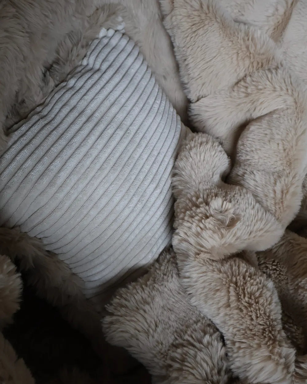 Snuggle Cushion, corduroy side
